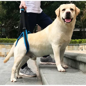 Pet Destek Sling Ayarlanabilir Köpek Asansör Demeti Pet Köpekler Yardım Yardım Aracı Eski Köpekler için Arka Bacaklar Yardım Zayıf Bacaklar Stand Up